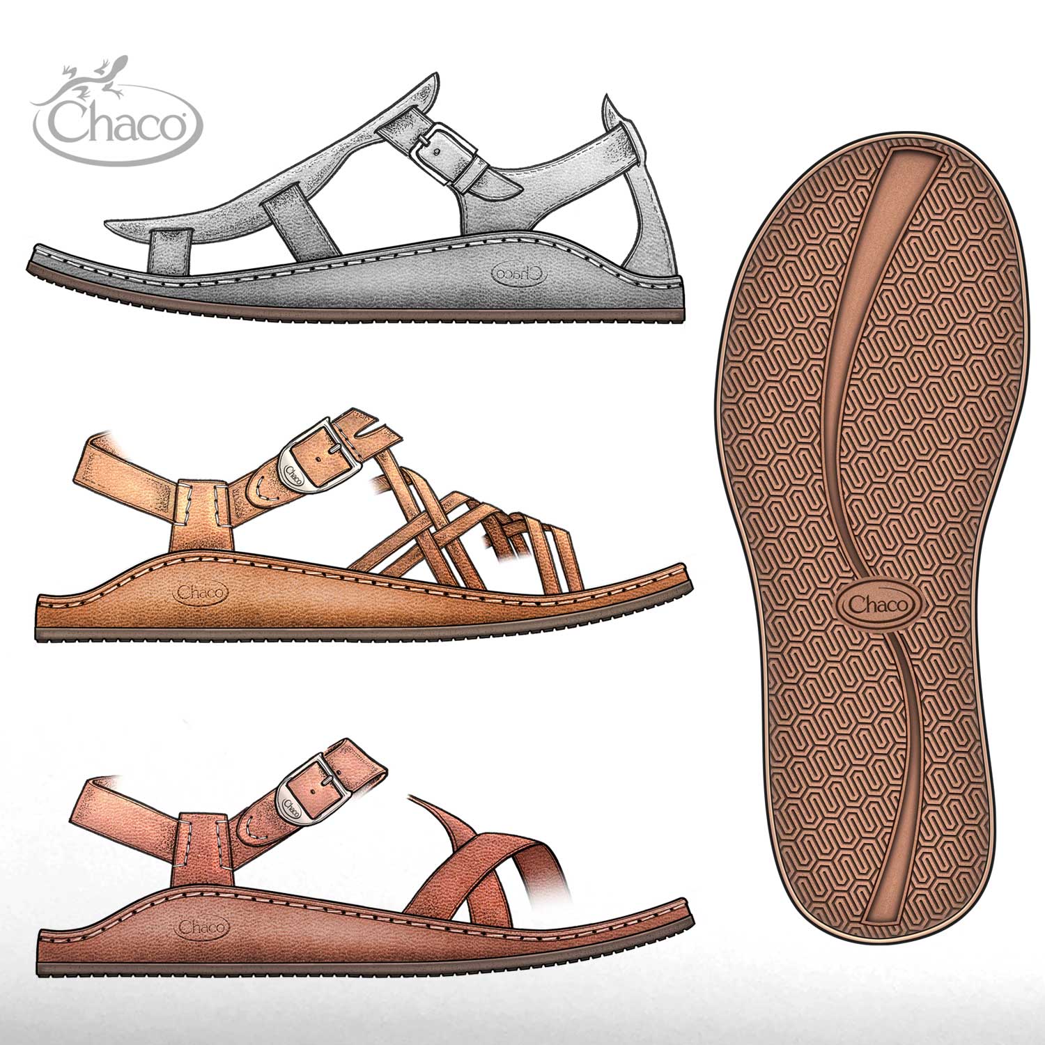 chaco fallon