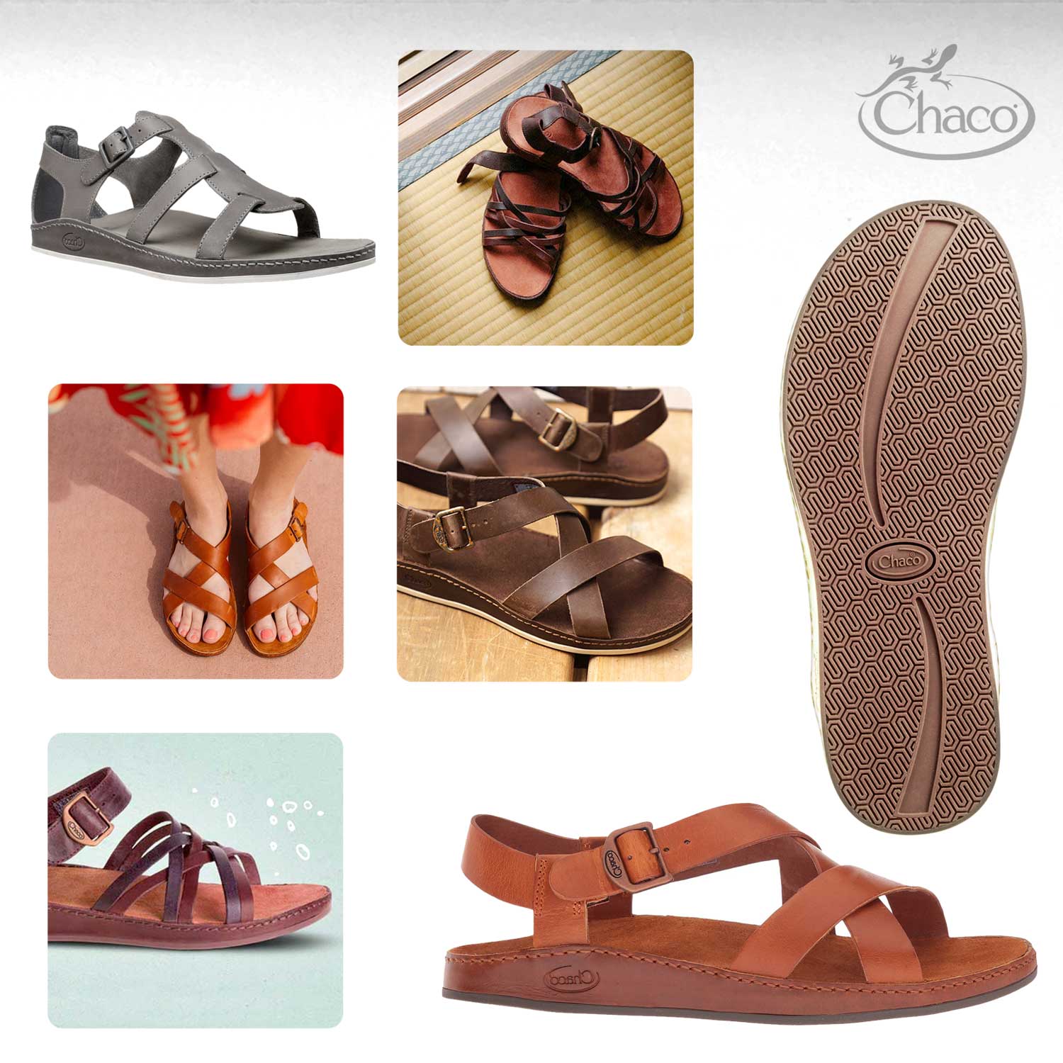 chaco fallon